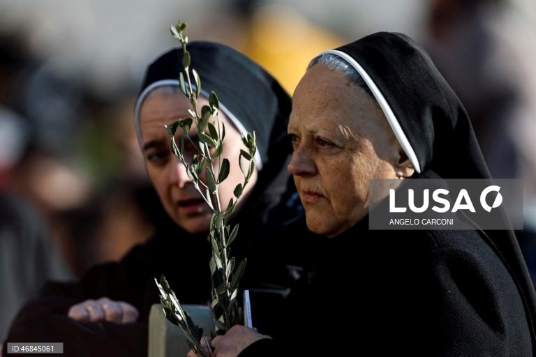 Celebrações do Domingo de Ramos pelo mundo