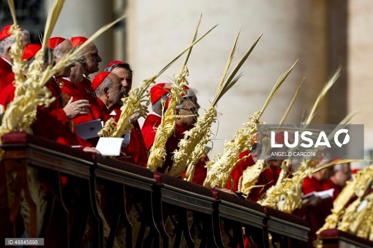 Celebrações do Domingo de Ramos pelo mundo