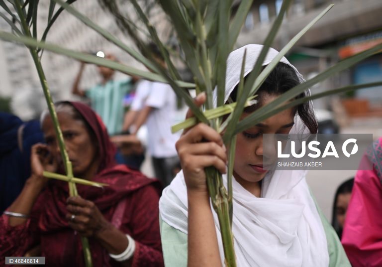 Celebrações do Domingo de Ramos pelo mundo