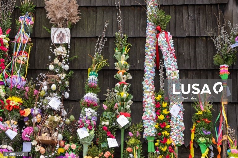 Celebrações do Domingo de Ramos pelo mundo