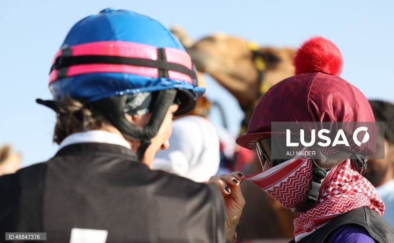 Dubai: Campeonato C1 da Série de Corridas de Camelos Fêmeas