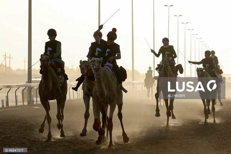 Dubai: Campeonato C1 da Série de Corridas de Camelos Fêmeas