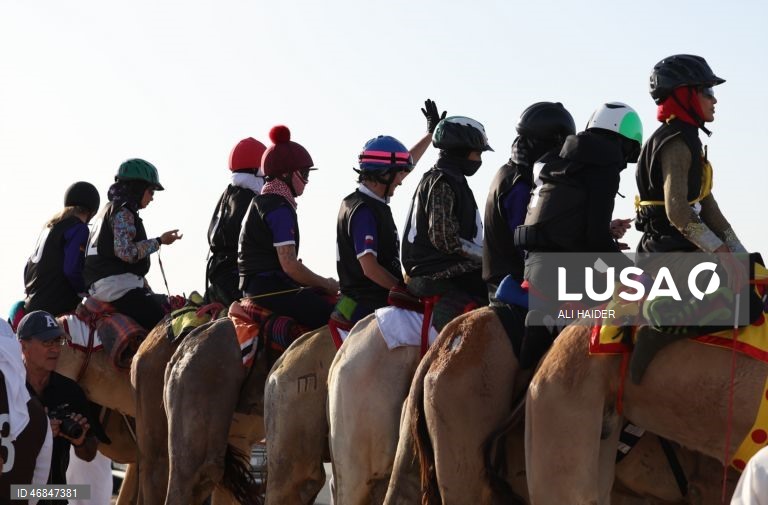 Dubai: Campeonato C1 da Série de Corridas de Camelos Fêmeas