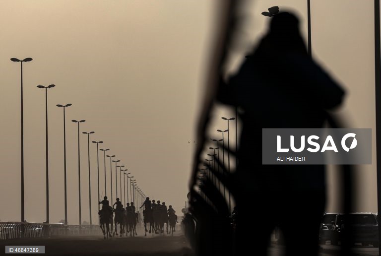 Dubai: Campeonato C1 da Série de Corridas de Camelos Fêmeas