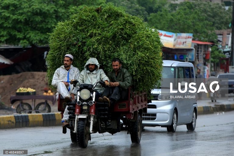 Paquistão: Chuva intensa em Peshawar