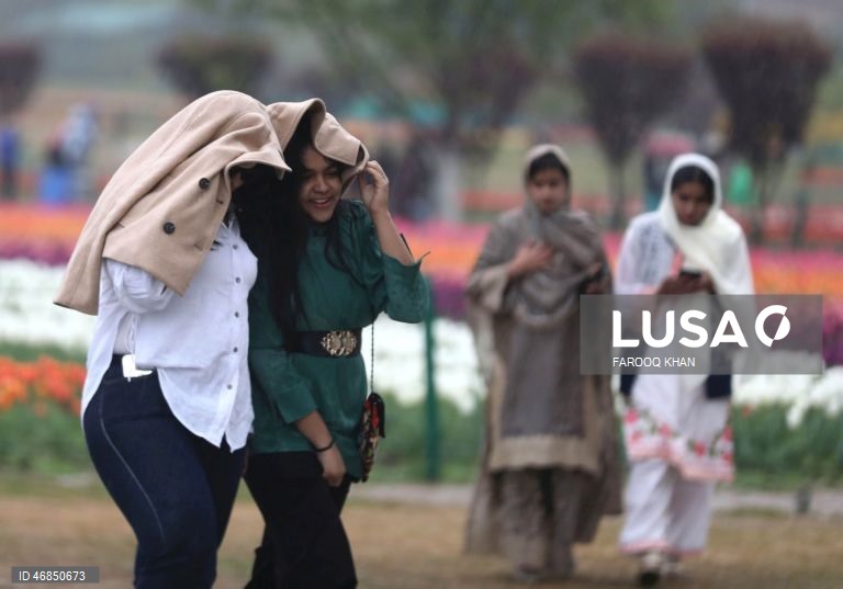 Índia: Jardim de tulipas do Memorial de Indira Gandhi em Srinagar