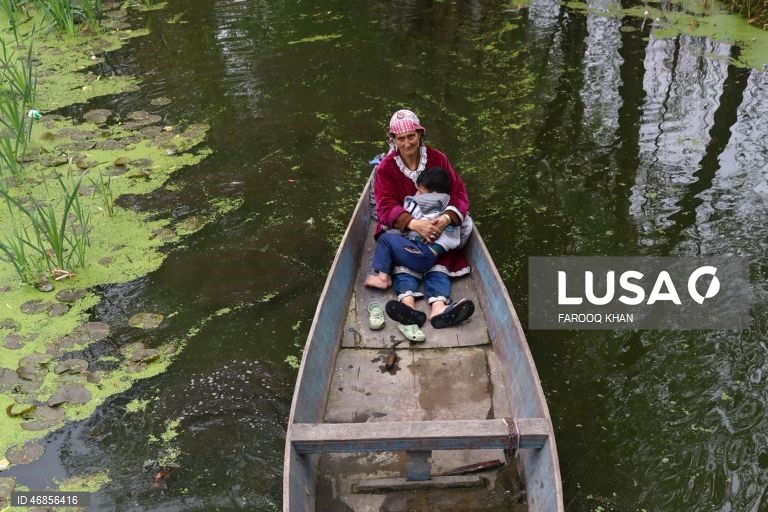 Índia: Vida quotidiana em Srinagar
