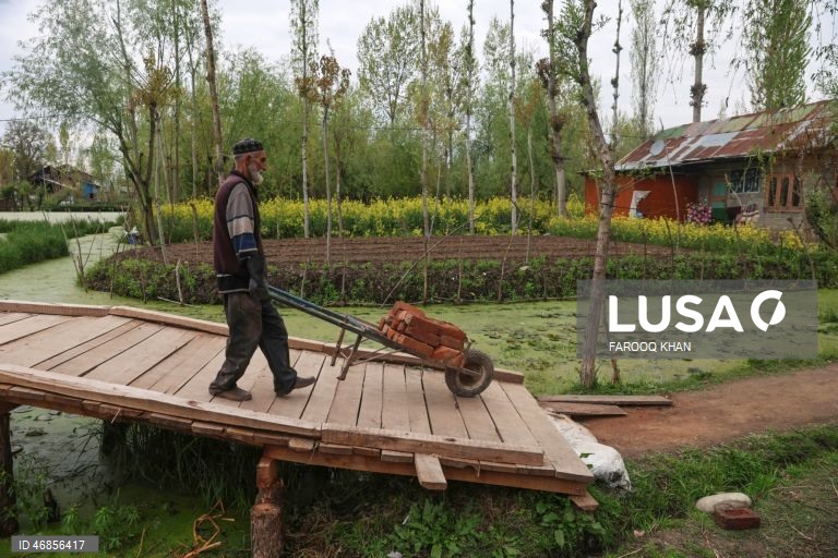 Índia: Vida quotidiana em Srinagar
