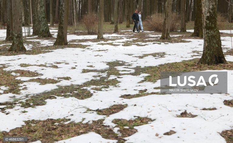 Rússia: Primeiras flores de Primavera em Moscovo