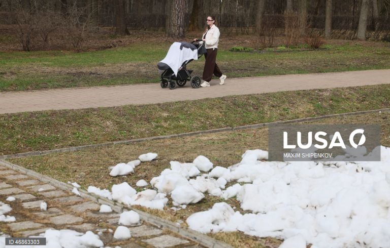 Rússia: Primeiras flores de Primavera em Moscovo