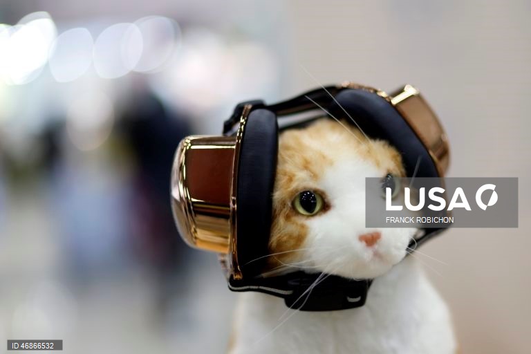 Exposição de animais de companhia Tóquio 2026