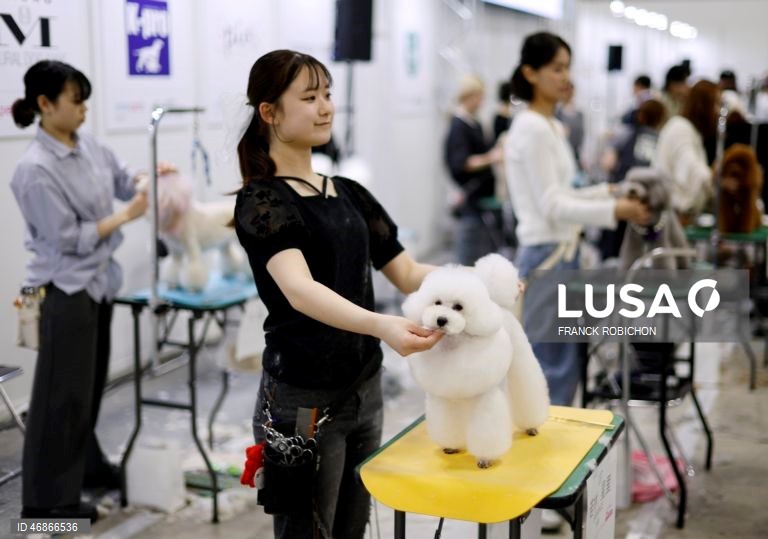 Exposição de animais de companhia Tóquio 2026
