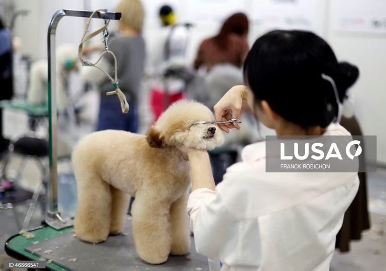 Exposição de animais de companhia Tóquio 2026