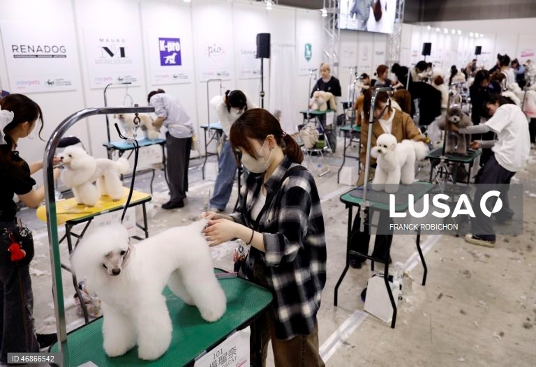 Exposição de animais de companhia Tóquio 2026