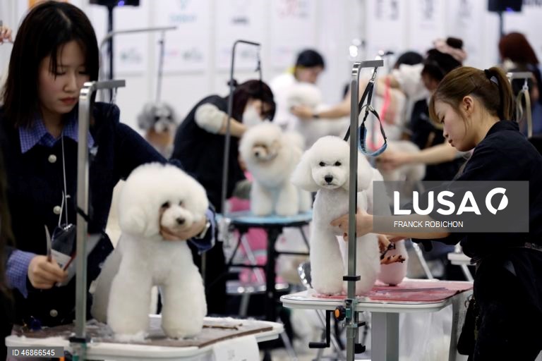 Exposição de animais de companhia Tóquio 2026