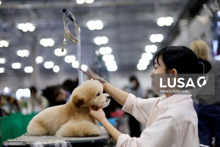 Exposição de animais de companhia Tóquio 2026