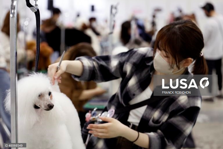 Exposição de animais de companhia Tóquio 2026