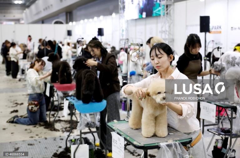 Exposição de animais de companhia Tóquio 2026