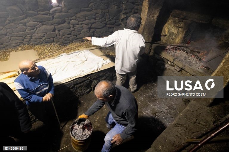 O antigo forno comunitário de Vilar Perdizes, em Montalegre, reabre nesta Páscoa para cumprir a tradição de cozer o folar, servindo de palco para a transmissão de saberes das gerações mais velhas para os mais novos, Montalegre, Vila Real, 2 de abril de 2026. Os fornos do povo foram caindo em desuso, mas, nos últimos anos, em Montalegre, distrito de Vila Real, vários foram recuperados e são reabertos, principalmente nesta época, para reativar uma tradição antiga. Espalhados pelo concelho há 56...