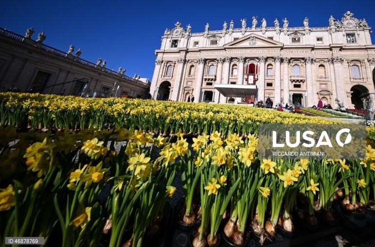 Vaticano: Papa Leão XIV preside às celebrações do Domingo de Páscoa