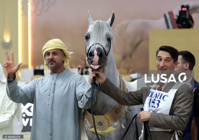 Dubai: Campeonato Internacional de Cavalos Árabes 