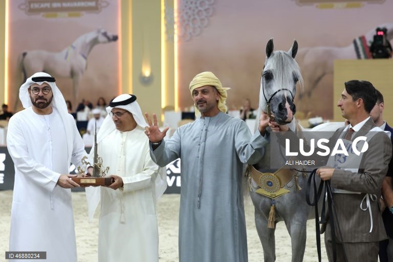Dubai: Campeonato Internacional de Cavalos Árabes 