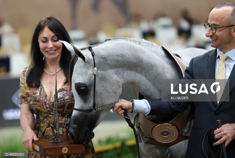 Dubai: Campeonato Internacional de Cavalos Árabes 