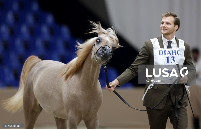 Dubai: Campeonato Internacional de Cavalos Árabes 