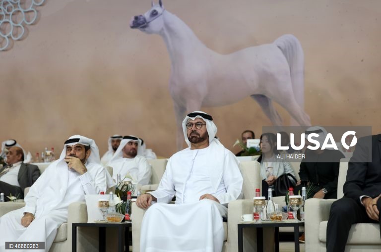 Dubai: Campeonato Internacional de Cavalos Árabes 