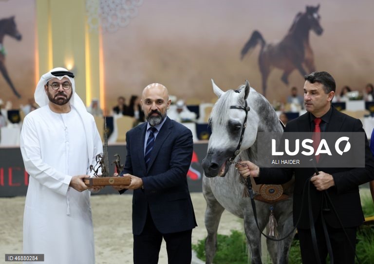 Dubai: Campeonato Internacional de Cavalos Árabes 