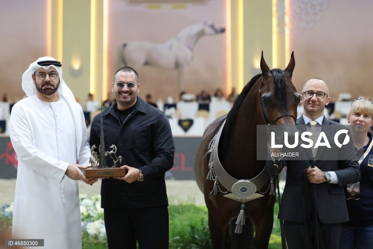 Dubai: Campeonato Internacional de Cavalos Árabes 