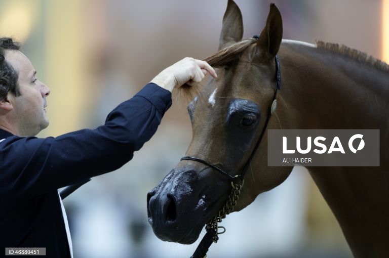 Dubai: Campeonato Internacional de Cavalos Árabes 