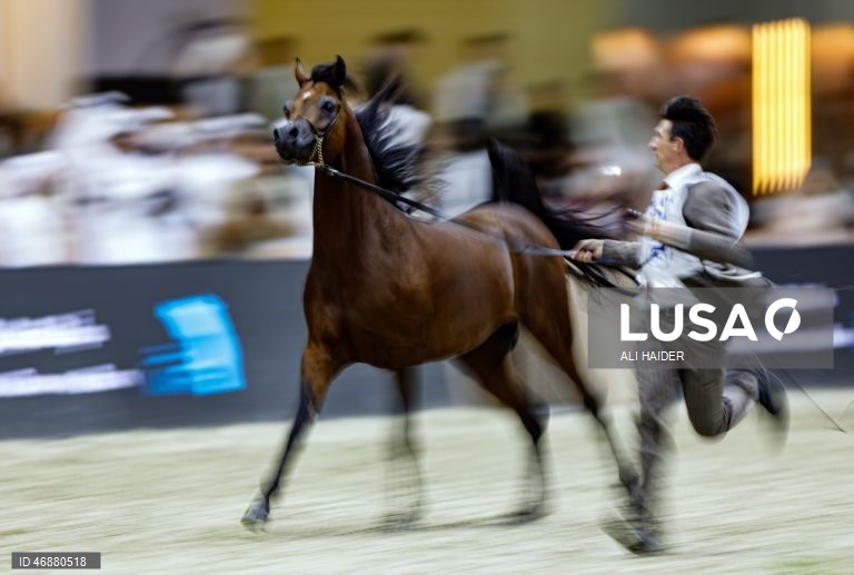 Dubai: Campeonato Internacional de Cavalos Árabes 