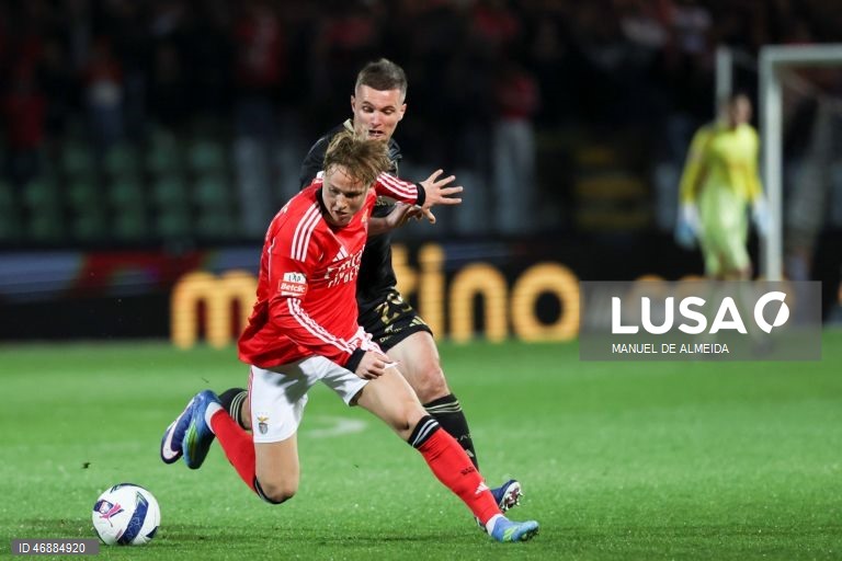 O Benfica desperdiçou hoje a oportunidade de se aproximar do FC Porto, líder da I Liga portuguesa de futebol, ao empatar 1-1 na visita ao Casa Pia, em jogo da 28.ª jornada da prova.