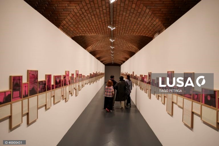 Visita de imprensa às exposições "Personagens e Intérpretes" na Culturgest em Lisboa, 9 de abril de 2026. As exposições comemoram os 50 anos de atividade como artista plástico e os 30 anos da vertente particular da obra de João Penalva. TIAGO PETINGA/LUSA