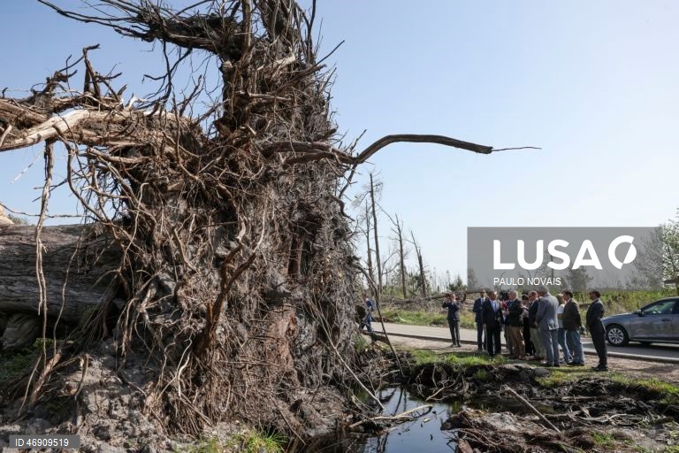 O Presidente da República, António José Seguro (E), durante a paragem junto a um eucalipto de grande porte derrubado pela tempestade Kristin, em Tremelgo, no quinto dia da sua primeira Presidência Aberta, hoje dedicada ao distrito de Leiria, Marinha Grande, 10 de abril de 2026. PAULO NOVAIS/LUSA