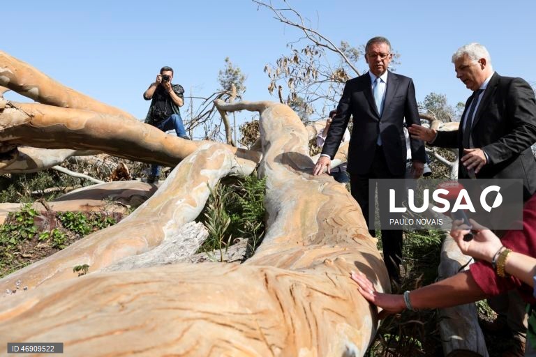 O Presidente da República, António José Seguro (2-D), durante a paragem junto a um eucalipto de grande porte derrubado pela tempestade Kristin, em Tremelgo, no quinto dia da sua primeira Presidência Aberta, hoje dedicada ao distrito de Leiria, Marinha Grande, 10 de abril de 2026. PAULO NOVAIS/LUSA