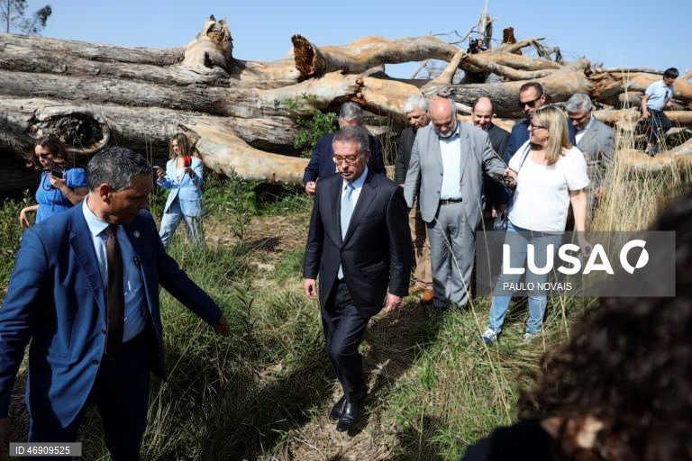 O Presidente da República, António José Seguro (C), durante a paragem junto a um eucalipto de grande porte derrubado pela tempestade Kristin, em Tremelgo, no quinto dia da sua primeira Presidência Aberta, hoje dedicada ao distrito de Leiria, Marinha Grande, 10 de abril de 2026. PAULO NOVAIS/LUSA