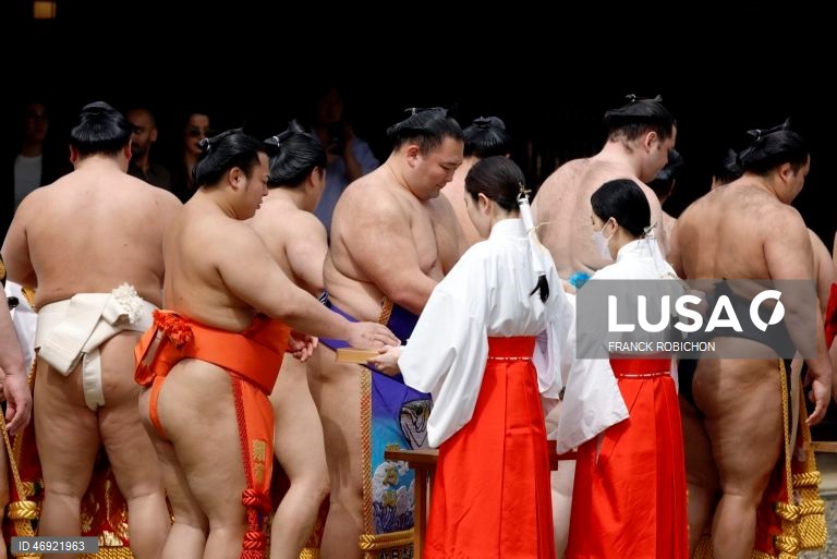Japão: Torneio de sumo em Tóquio