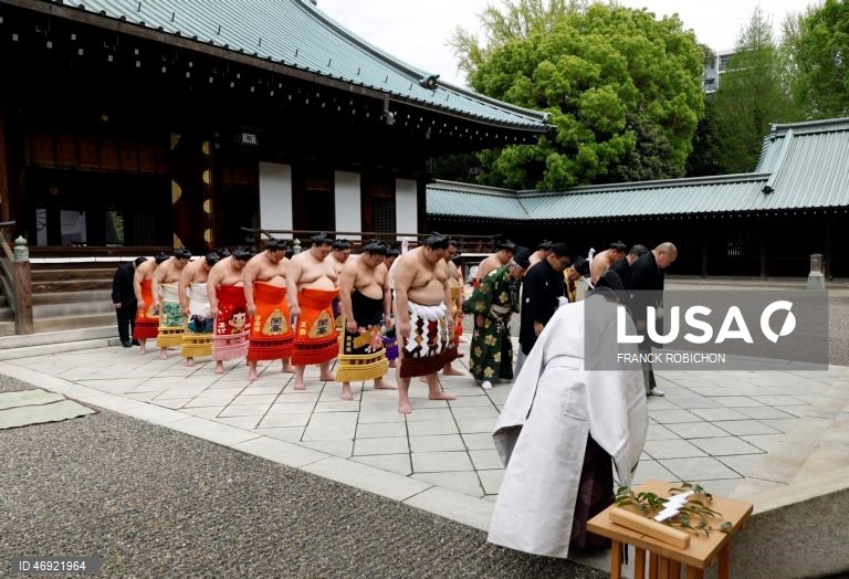 Japão: Torneio de sumo em Tóquio