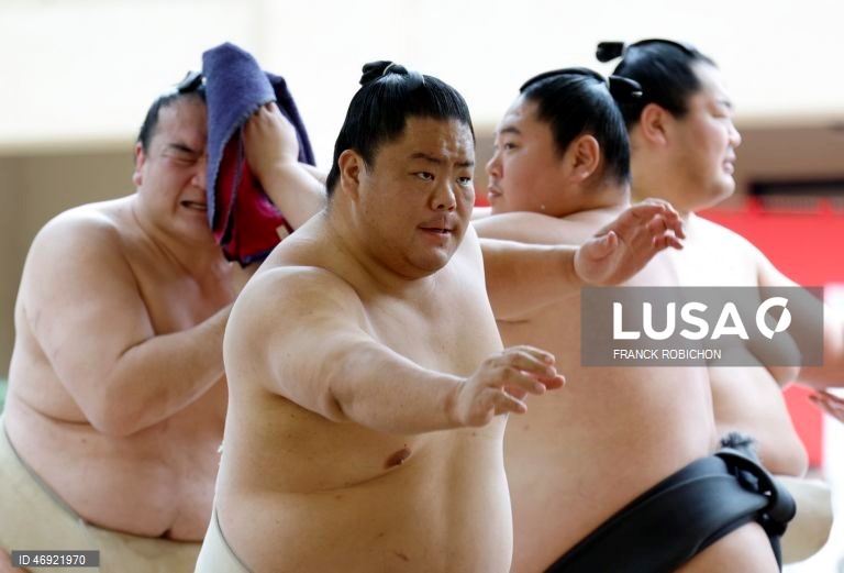 Japão: Torneio de sumo em Tóquio