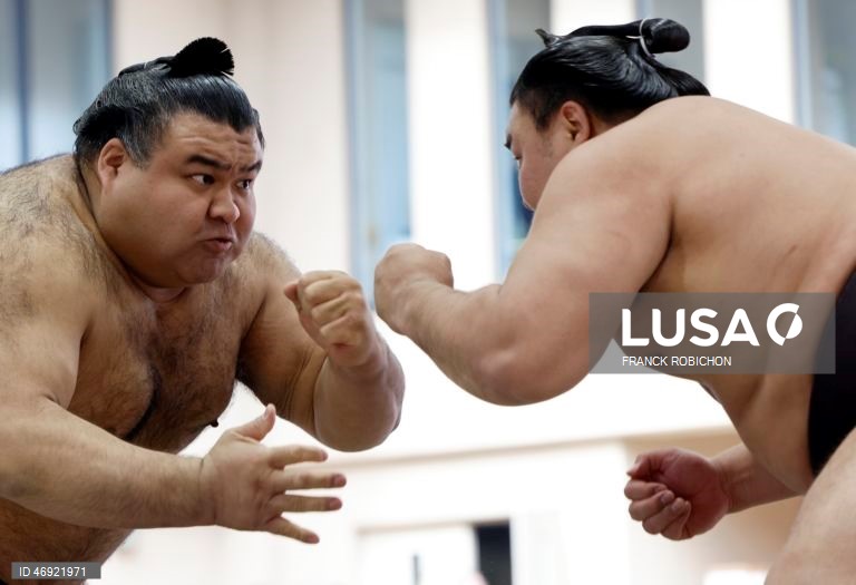 Japão: Torneio de sumo em Tóquio