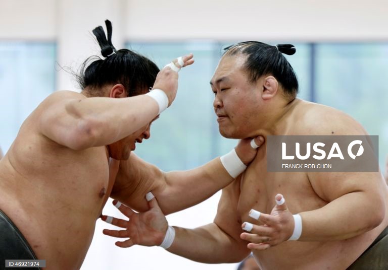 Japão: Torneio de sumo em Tóquio