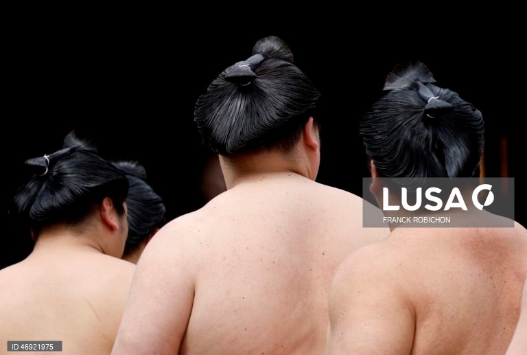 Japão: Torneio de sumo em Tóquio