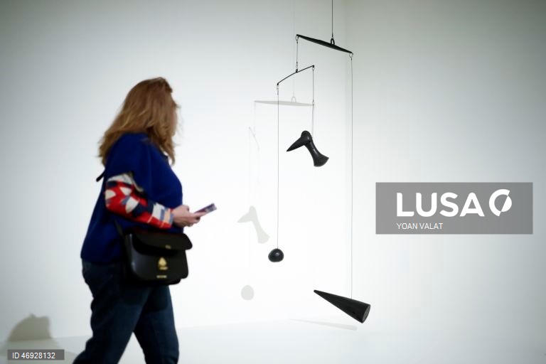 França: Exposição de Alexander Calder na Fundação Louis Vuitton