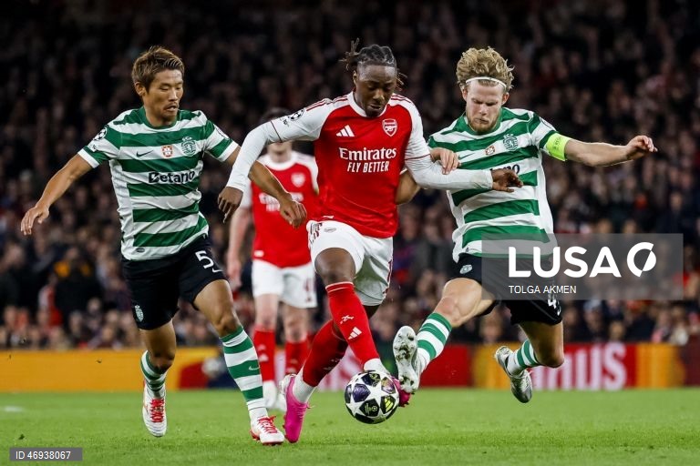 Liga dos Campeões: Arsenal vs Sporting