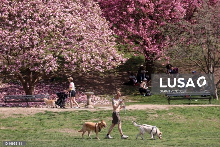 EUA: Primavera em Nova Iorque