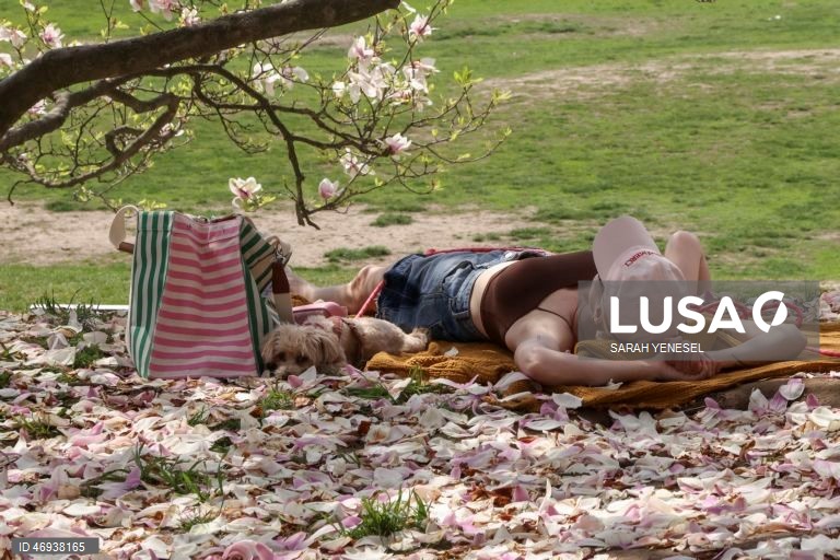 EUA: Primavera em Nova Iorque
