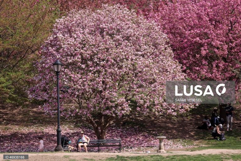 EUA: Primavera em Nova Iorque
