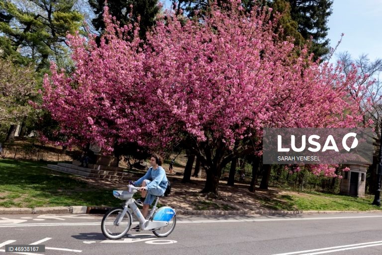 EUA: Primavera em Nova Iorque